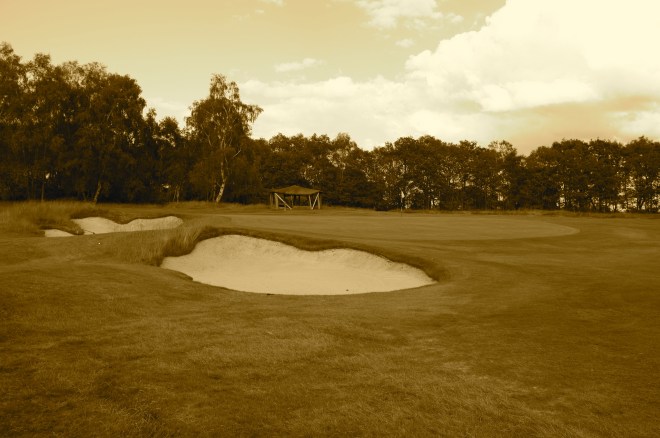 A view of the green at the par five 8th from front left.